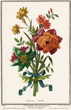 original vintage flower prints prevost and others 1940-1950s